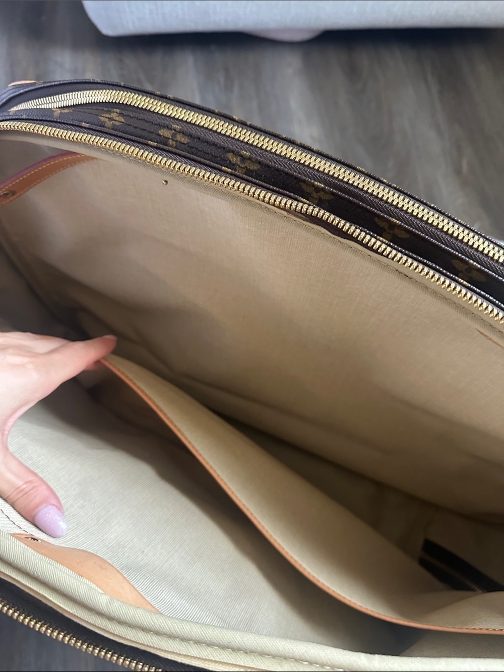 Louis Vuitton Alize Monogram Canvas Travel Bag - Picture 9 of 16